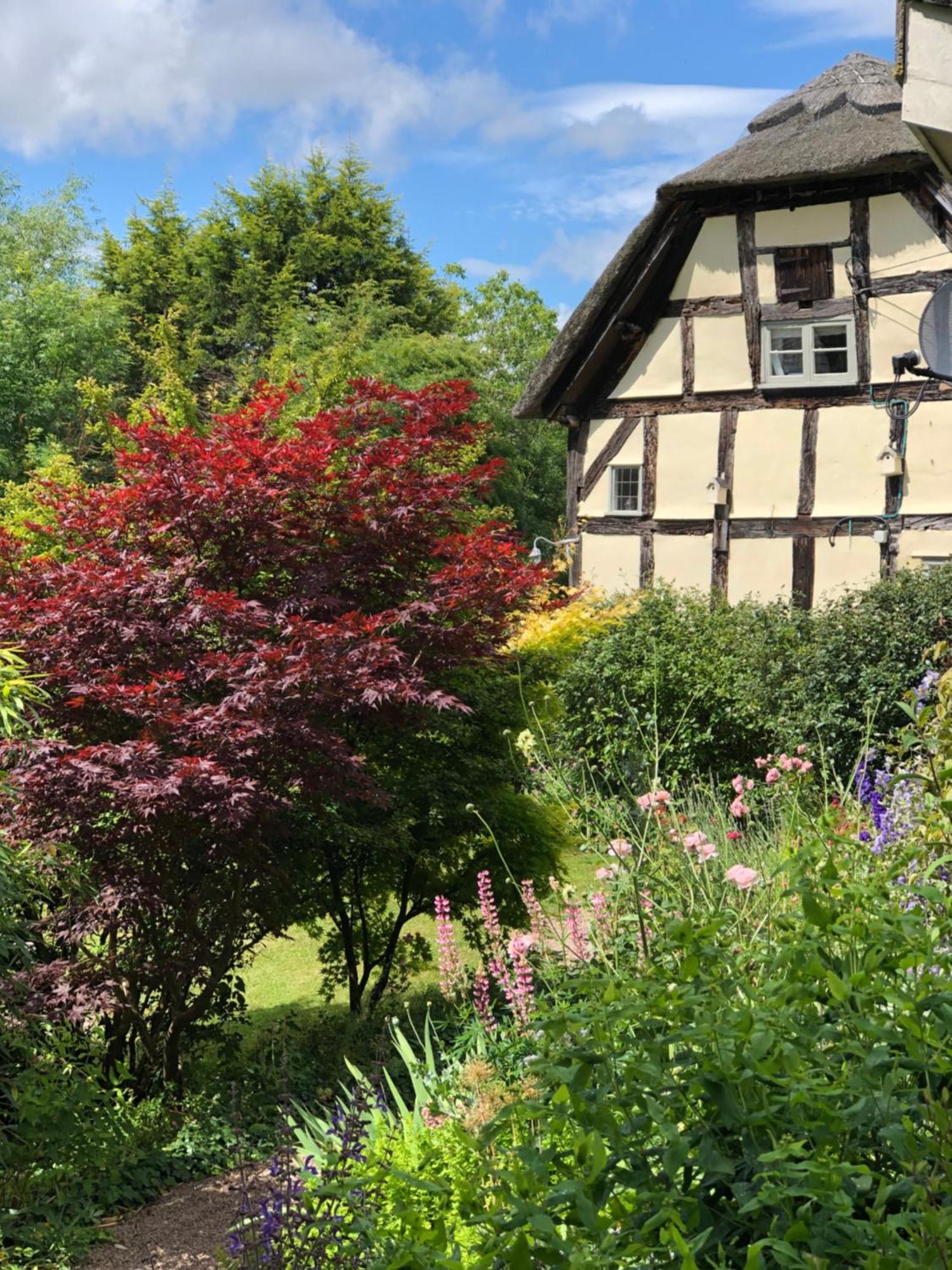 The Steppes Holiday Cottages Hereford Exteriör bild
