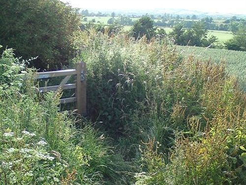 The Steppes Holiday Cottages Hereford Exteriör bild