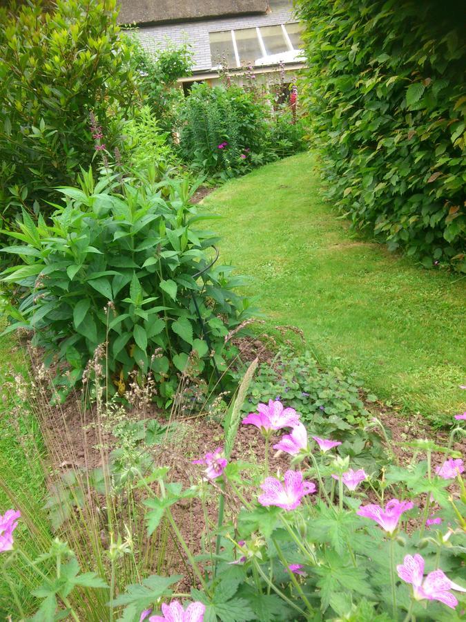 The Steppes Holiday Cottages Hereford Exteriör bild
